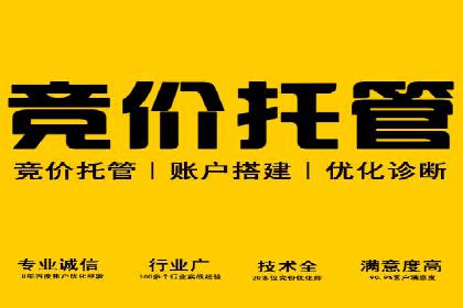 某电商平台充值返点活动用户行为分析